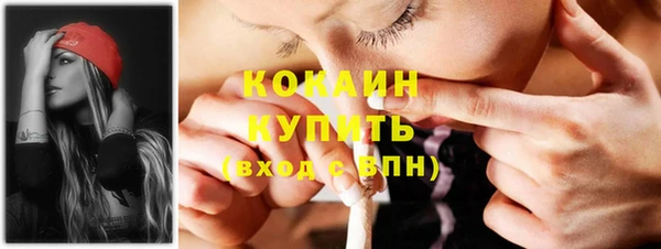 твердый Чегем