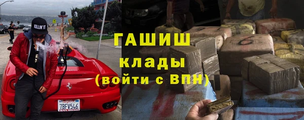 твердый Чегем
