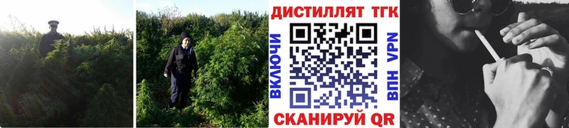 Дистиллят ТГК гашишное масло  где найти наркотики  Чебаркуль 